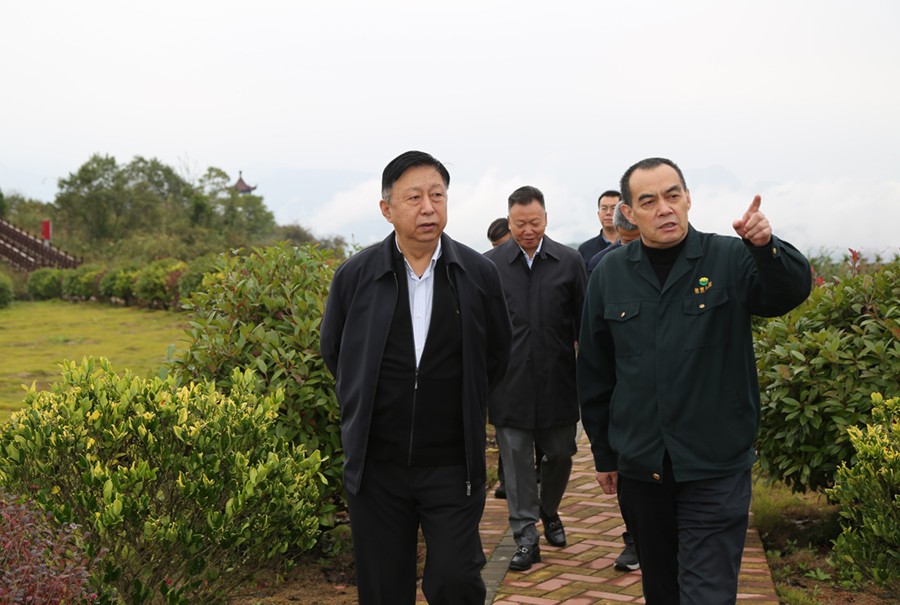19-2021年10月，原國土資源部副部長汪民蒞臨公司調(diào)研。.jpg