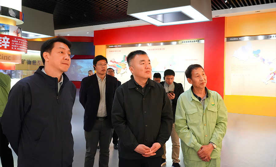 10.4-2024年04月，自然資源部礦保司副司長王博蒞臨公司調(diào)研。.jpg