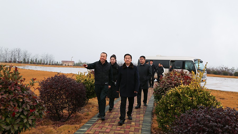 45-2020年12月，省高級人民法院黨組成員、副院長任建國蒞臨金徽股份調(diào)研知識產(chǎn)權(quán)司法保護工作。.jpg